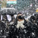 주식회사 제주정보통신 이미지