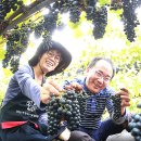 박종진 농장 이미지