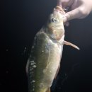 한계리낚시터 이미지