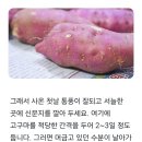 햇고구마 겨울내내 신선하게 보관 하기 이미지