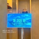 아레나로하 이미지