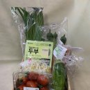 성남 - 강진군 | 성남
