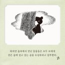 최연주 이미지
