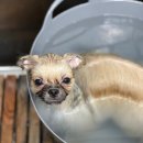 하나카동물병원 이미지