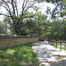 위천수승대 이미지