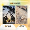 서울전지작업 겨울철 철길 주변 위험수목 제거 시공 후기
