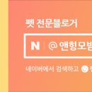 샤방하개 이미지