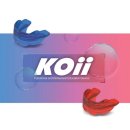 코이(koii) 이미지