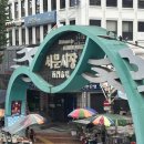 명신수선