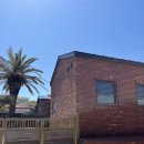 브로콜리삼춘 이미지