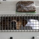 여정농장 이미지