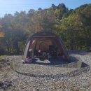 햇살농원 애견 이미지