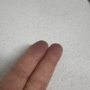옷세탁 | 검은옷 물빠짐 고민 끝!하이트만 울트라 검은옷 세탁 시트 후기! 검은옷 복원 세탁 꿀템 추천 🖤