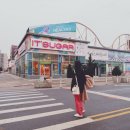 코니아일랜드아이스크림 이미지