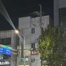 도깨비소주방 네이버블로그