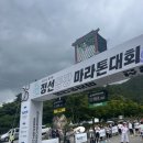 동강할미꽃마을 | 2025 정선동강 마라톤 후기 정보