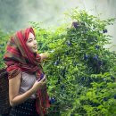 A&B행정사사무소 이미지