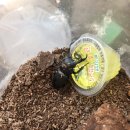 청암학교(청암앤) 이미지