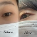 녹양역 | 의정부 속눈썹펌 잘하는 곳, 녹양역 길뷰티 후기