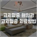 일산조은내과의원 이미지