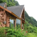 평창들꽃 이미지