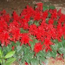 뚝길따라 이미지