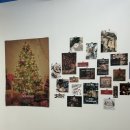 신월동167 이미지