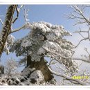 화랑대역7번출구 이미지