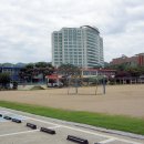 고암초등학교 티스토리