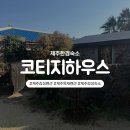 라라피포 제주 | 제주 감성 숙소 제주 한경 숙소 빈티지제주 코티지 후기