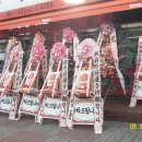 팔마오피스