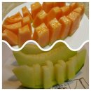 고창행복농장 이미지