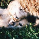 규범동물병원 이미지