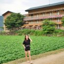 소백산빌리지 | 단양 소백산빌리지, 단양펜션 솔직 후기❤ 낭만적인 단양여행!