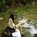 가평블루베리힐 이미지