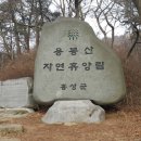 용봉산 주차장 티스토리