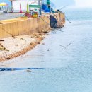 벌말목장 이미지