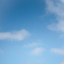 (주)에스비팜 이미지