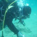 푸른축산 이미지