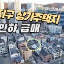 향동지구 점포겸용주택지 1억인하 급매 이미지