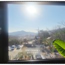 자연애공인중개사사무소 이미지