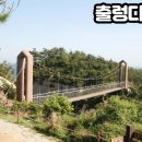 욕지도 관광농원 이미지