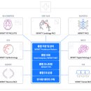 쓰리디메드 이미지