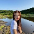 [짠내투어] 레드벨벳 조이의 전속 사진사 명수옹.jpgif 이미지