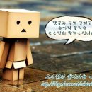 [대전맛집] 대전 유천동의 3대 짬뽕중에서 가장 맛이 좋은곳...^^ 국제반점... 대전맛집추천/대전 맛집/대전유천동 맛집 이미지