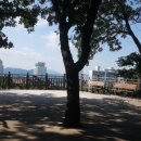 사하구-40 이미지