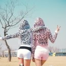 결혼이야기