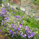 다경공인중개사사무소 이미지