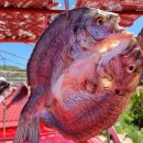 우림장민박 이미지