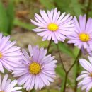 영광센터-5 이미지